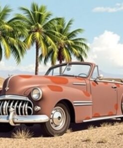 Rusty Coupe Under Palms Paint By Numbers