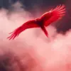 Scarlet Wings Over Mist paint by numbers