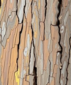 Scratches On Ancient Wood Paint By Numbers