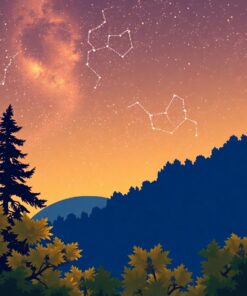 Over Canopy Paint Numbers