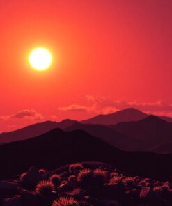 Summit Trek Paint Numbers