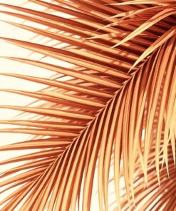 Palm Frond Paint Numbers