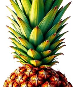 Pineapple Top Paint Numbers