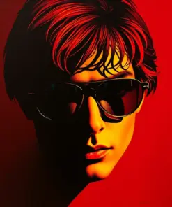 Shadows In Mirrored Lenses Paint By Numbers