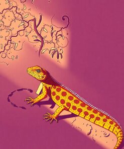 Desert Reptiles Paint Numbers