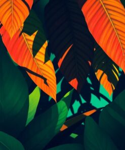 Tropical Leaves Paint Numbers