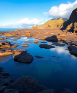 Tidal Pools Paint Numbers