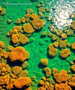 Tide Pool Paint Numbers