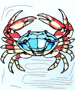 Blue Crab Paint Numbers