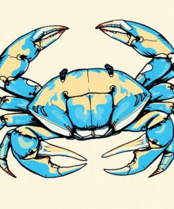 Sketching The Blue Crab Paint By Numbers