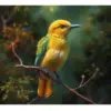 Spanish Moss Bird Realism Paint by Numbers
