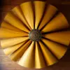 Spinning Teak Fan Blades Paint By Numbers