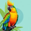 Macaw Record Paint Numbers