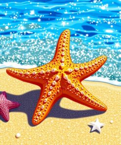 Starfish On Glistening Sand Paint By Numbers