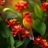 Sunbird Amidst Red Ginger Paint By Numbers