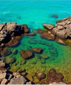 Tide Pool Paint Numbers