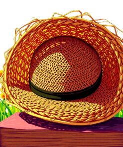 Straw Hat Paint Numbers