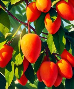 Vintage Mangoes Paint Numbers