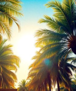 Palm Canopy Paint Numbers