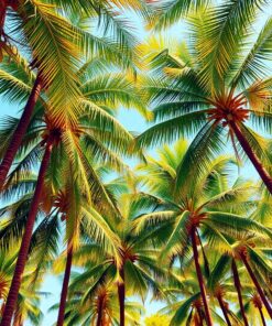 Palm Canopy Paint Numbers