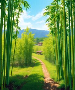 Bamboo Groves Paint Numbers