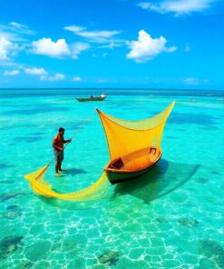 Net Fishing Paint Numbers