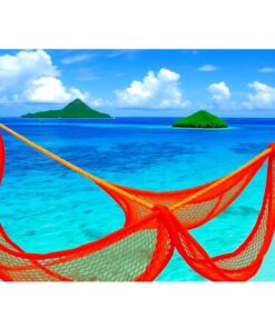 Throw Net Paint Numbers