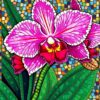 Orchid Mosaic Paint Numbers
