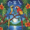 Tropical Gemini Stargazing Macaws Paint By Numbers
