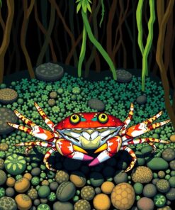 Forest Crabs Paint Numbers