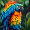 Tropical Macaw paint by numbers