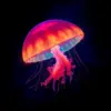 Tropical Midnight Jellyfish Glow Paint By Numbers