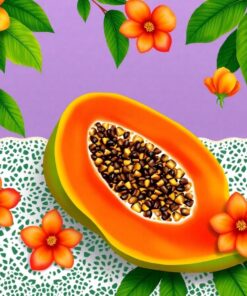 Papaya Lace Paint Numbers