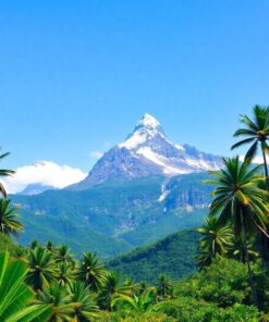 Through Lenses Paint Numbers