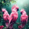 Tropical Pink Cockatoos Paint By Numbers