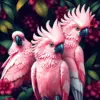 Tropical Pink Cockatoos Paint By Numbers