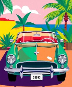 Cubist Cabriolet Paint Numbers