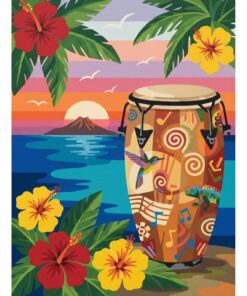 Tropical Rhythm Conga Drum Paint By Numbers
