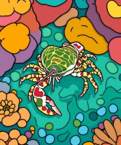 Pool Crustacean Paint Numbers