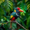 Tropical Trogon Hideaway paint by numbers