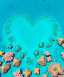 Heart Reef Paint Numbers