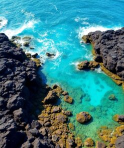 Volcanic Shoreline Paint Numbers