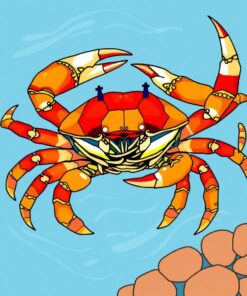 Stone Crab Paint Numbers