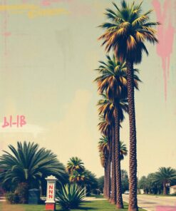 Vintage Palms Paint Numbers