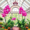 Orchid Conservatory Paint Numbers