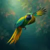 Vintage Amazon Parrot Flight Paint By Numbers