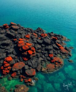 Covered Reef Paint Numbers