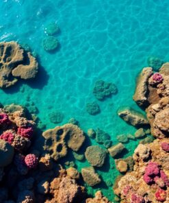 Reef Shallows Paint Numbers