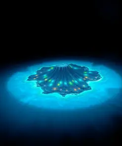 Vintage Bioluminescent Atolla Paint By Numbers