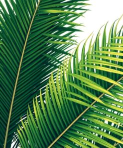 Palm Fronds Paint Numbers